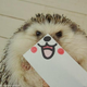 Illustration for article titled Hedgehog Impersonates Pikachu (and More)
